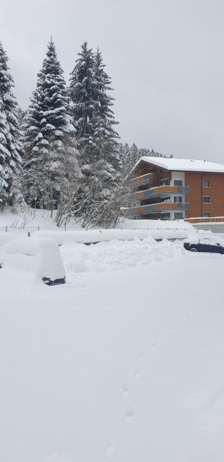 Apartmán La Perle Des Paccots Châtel-Saint-Denis Exteriér fotografie